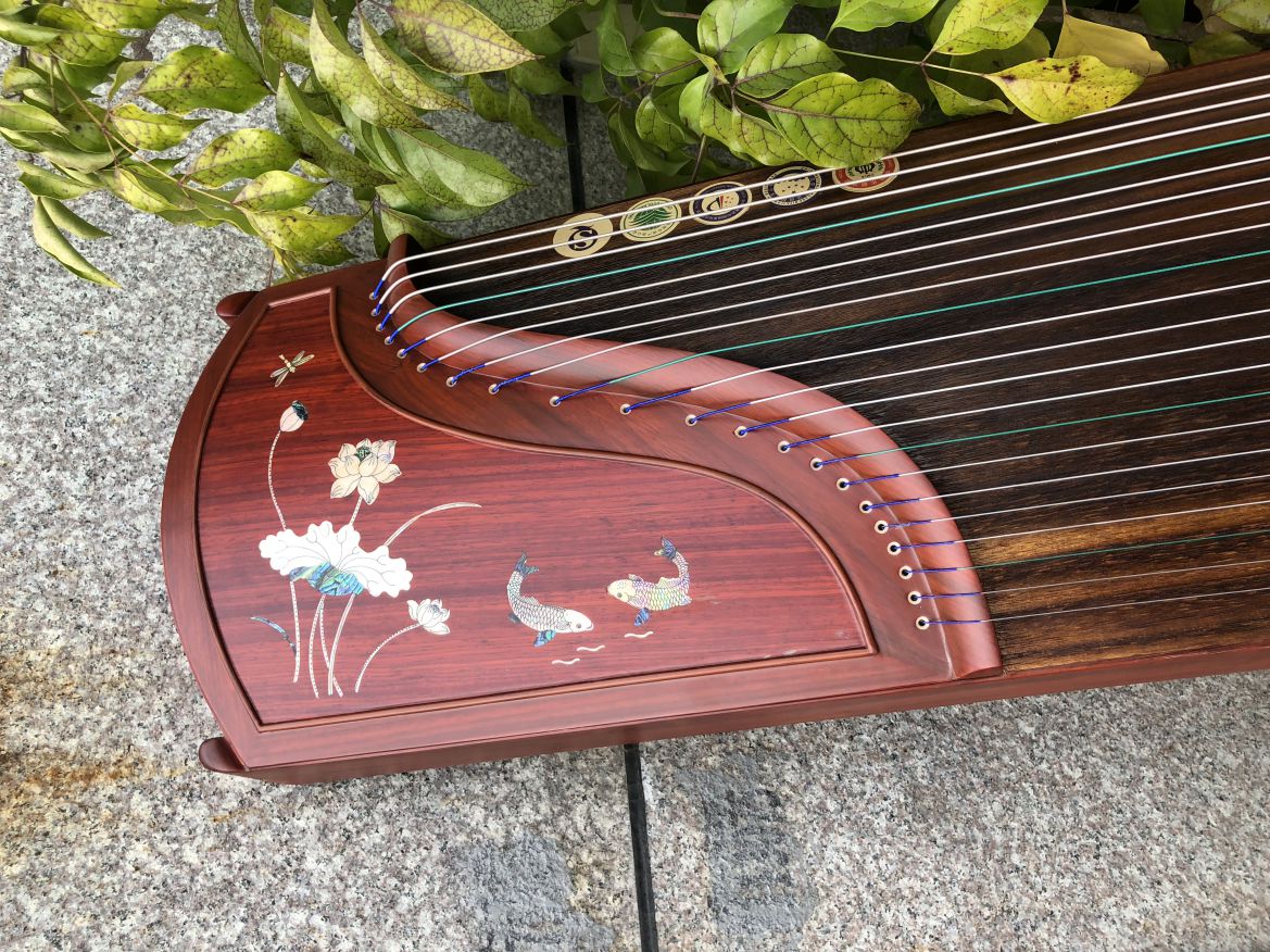 蓮年有余