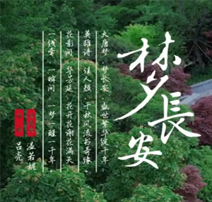 夢長安